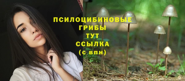 первитин Нягань