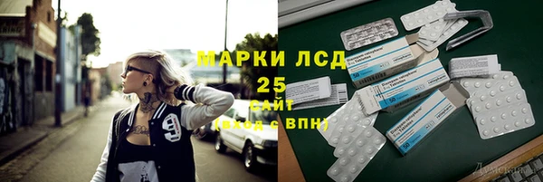 ГАЛЛЮЦИНОГЕННЫЕ ГРИБЫ Вуктыл