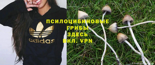 первитин Нягань