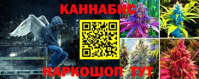 тгк Канаш
