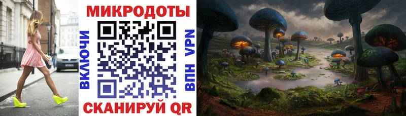 Галлюциногенные грибы Psilocybe  где продают наркотики  Когалым 
