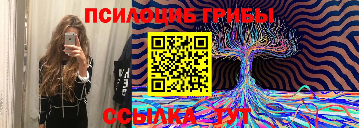Галлюциногенные грибы Psilocybe Когалым